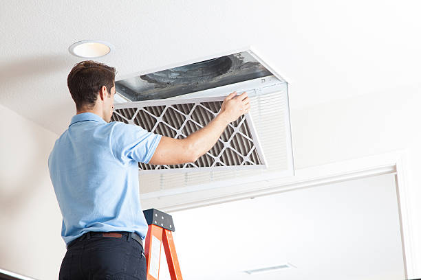 Best HVAC Maintenance Near Me  in Grosse Pointe, MI